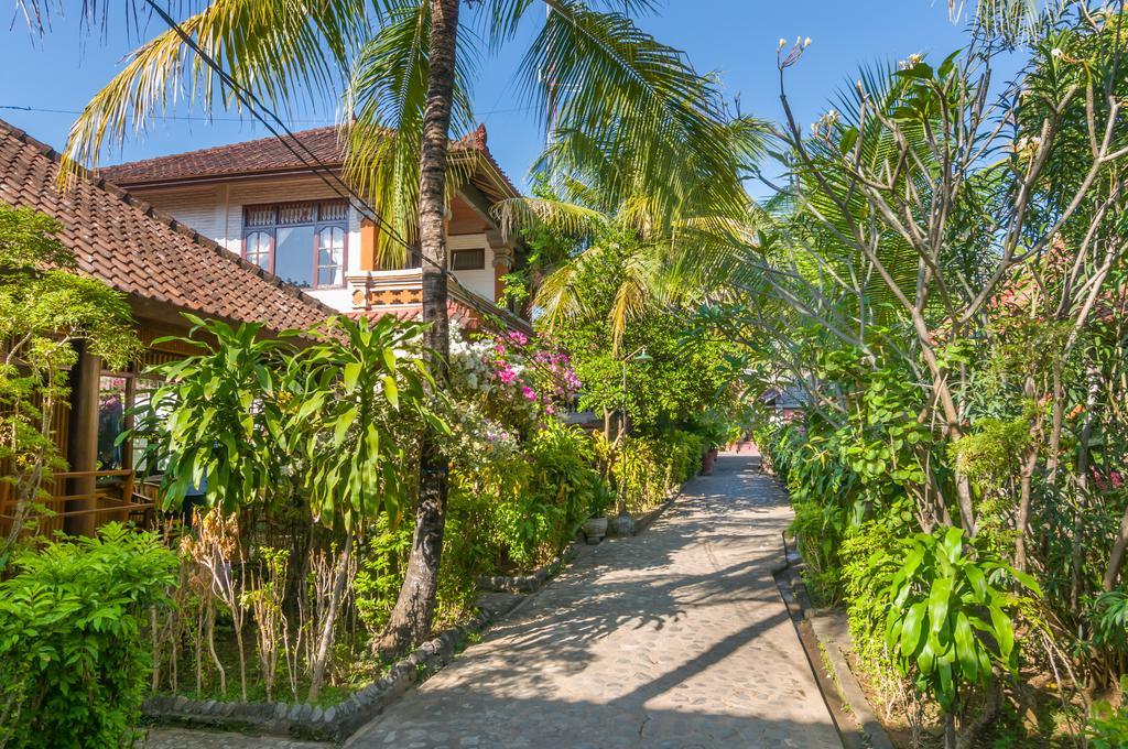 Paradise Palm Beach Bungalows And Dive Center تولامبين المظهر الخارجي الصورة