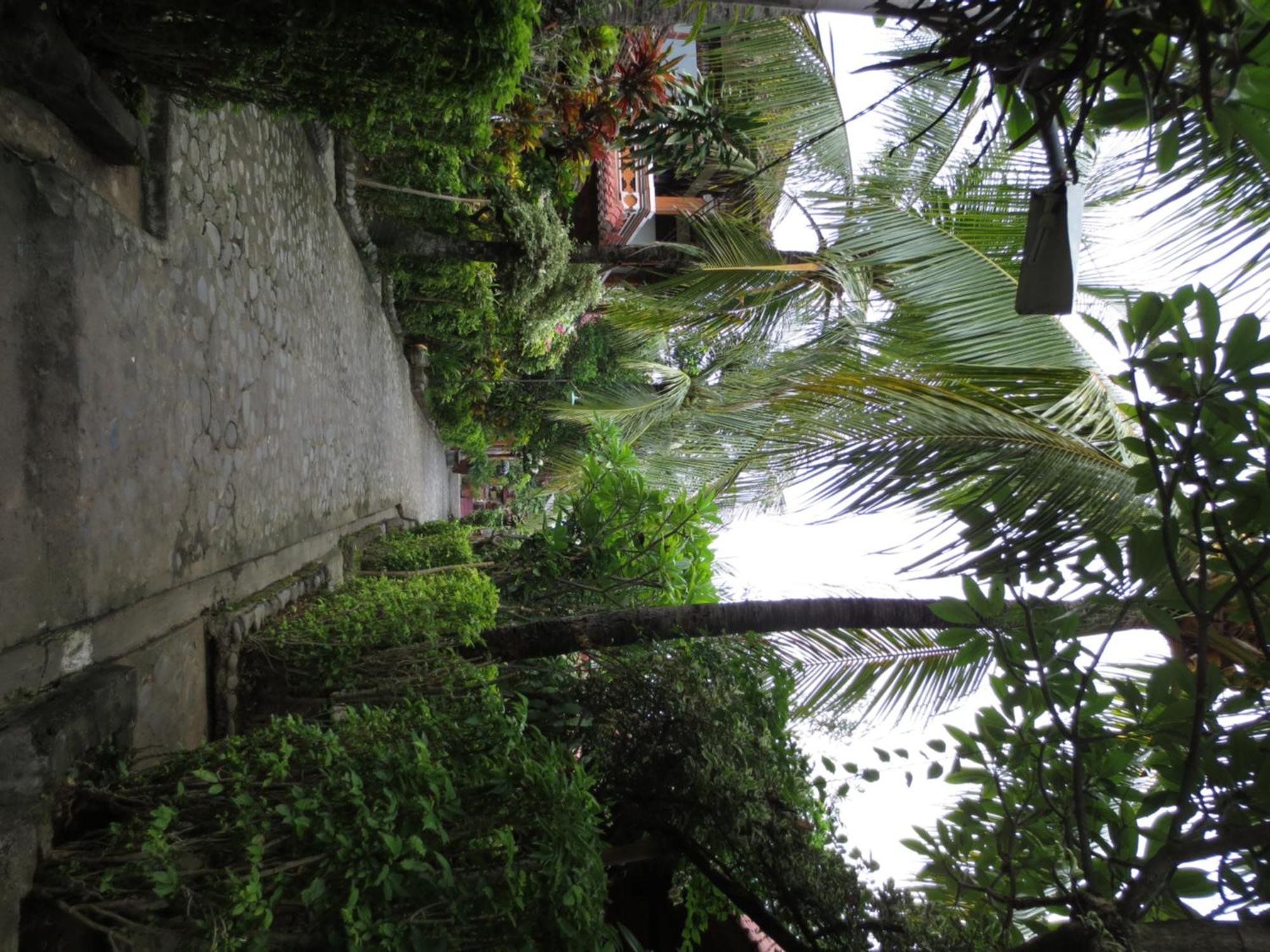 Paradise Palm Beach Bungalows And Dive Center تولامبين المظهر الخارجي الصورة