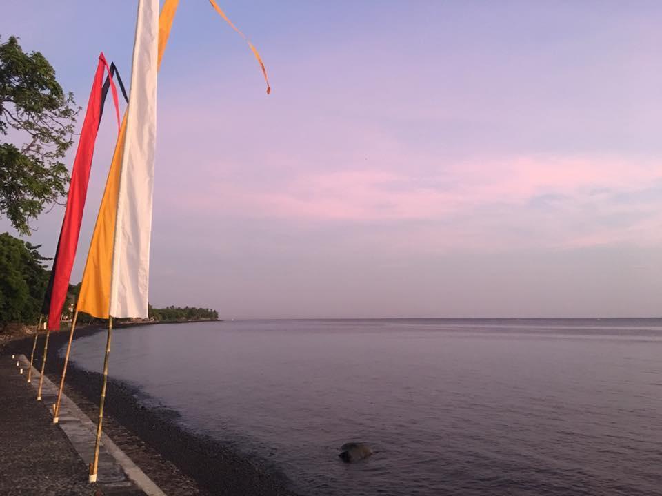 Paradise Palm Beach Bungalows And Dive Center تولامبين المظهر الخارجي الصورة